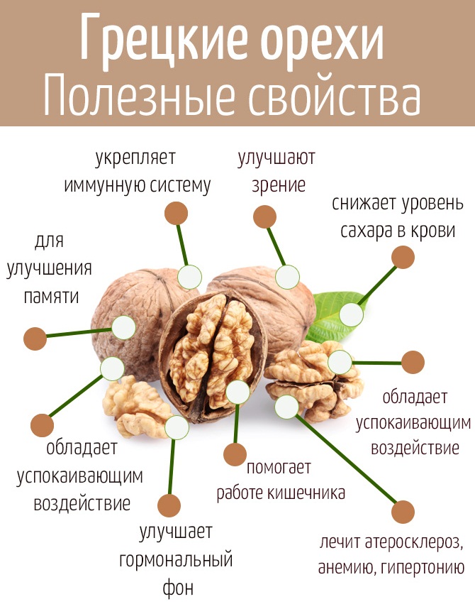 Настойка грецкого ореха на спирту. Полезные свойства, рецепты применения на перегородках, из скорлупы