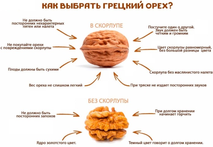 Настойка грецкого ореха на спирту. Полезные свойства, рецепты применения на перегородках, из скорлупы