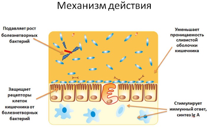 Рела Лайф (Rela Life) для новорожденных. Инструкция по применению, аналоги, цена