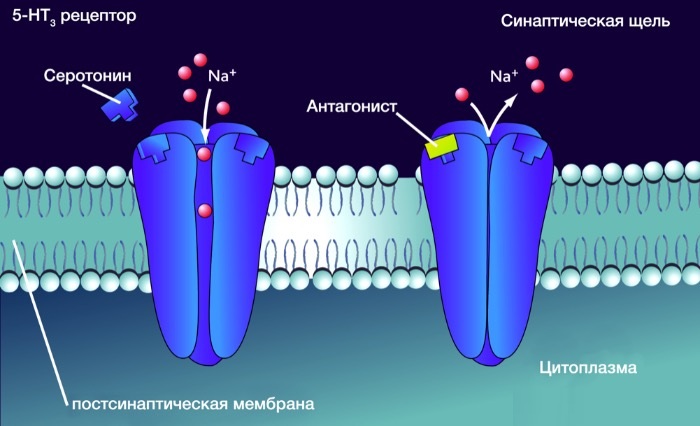Ондансетрон (Ondansetron) в ампулах. Инструкция по применению, цена, отзывы, аналоги