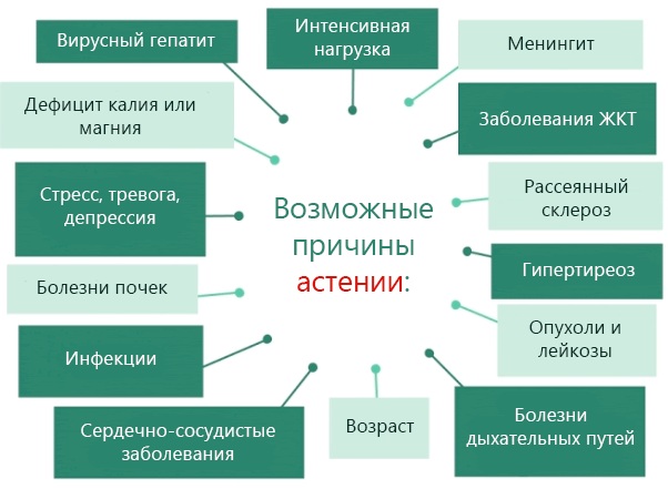 Пантокрин (Pantocrine). Показания к применению, инструкция, цена
