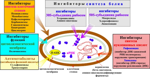 Зеленый кал у взрослого. Причины без поноса, боли в животе. Симптомы болезней, лечение