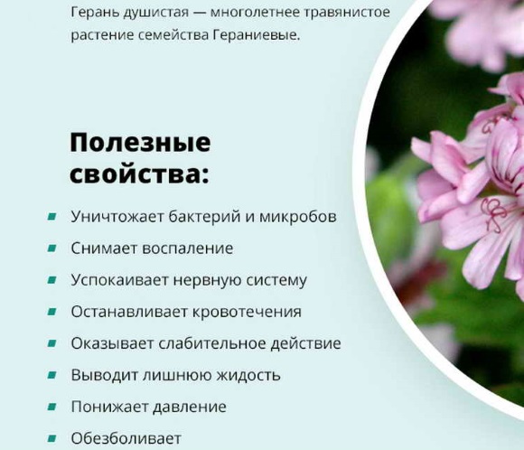 Перелом ребра. Симптомы, первая помощь, бандаж, лечение в домашних условиях, сколько заживает, осложнения