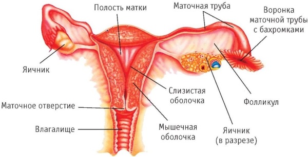 Перевязка труб у женщин. Последствия для здоровья, побочные эффекты