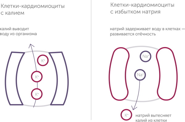 Поляризующая смесь. Состав капельницы, что это такое в кардиологии, неврологии