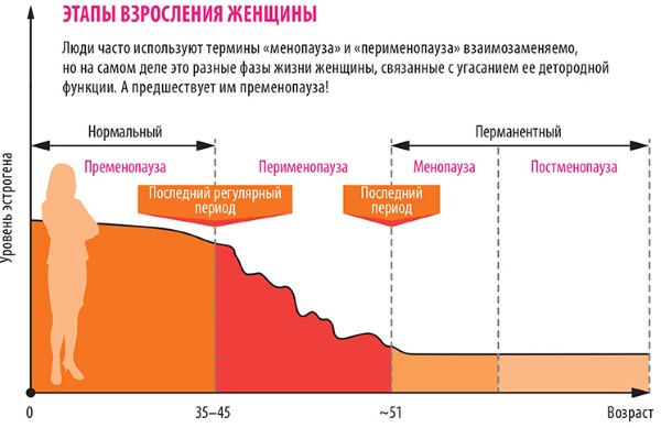 Предменопауза. Признаки и симптомы, кровотечение, причины, чем лечить