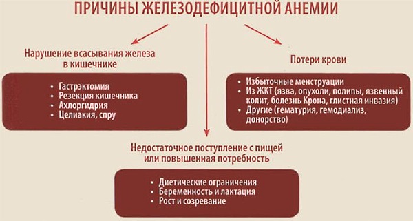 Препараты железа при анемии, для беременных, детей, женщин, мужчин. Польза, как принимать. Список лучших средств, названия и цены