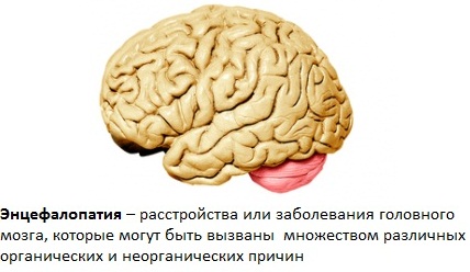 Признаки больной печени у женщины на коже, лице, симптомы, лечение