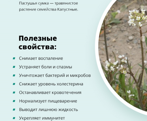 Признаки кровотечения у женщин в матке после родов, кесарева, месячных, при беременности. Причины