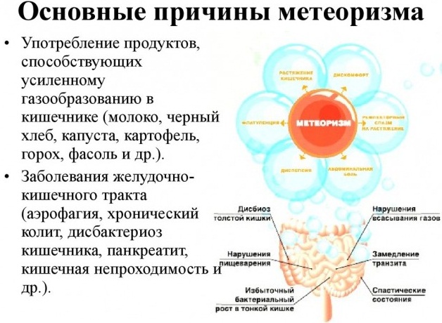 Проктонис капсулы. Инструкция по применению, цена, аналоги, отзывы