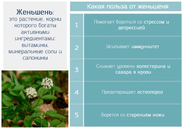 Пантокрин (Pantocrine). Показания к применению, инструкция, цена
