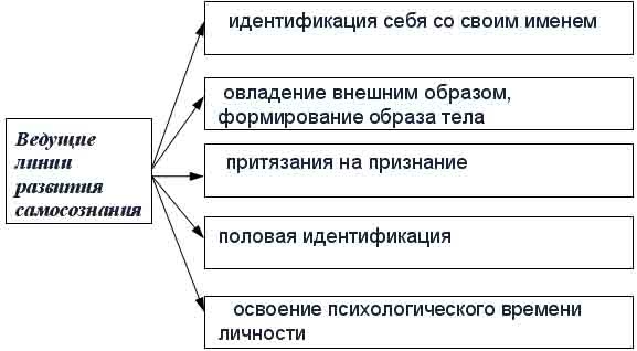 Психологический возраст в психологии. Что это такое, определение развития