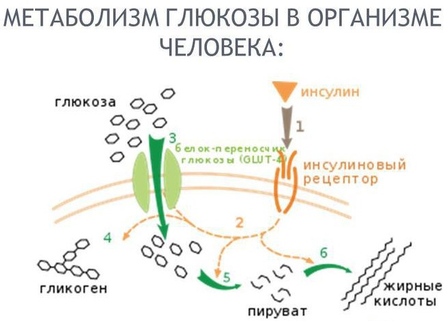 Раствор глюкозы 5-процентный. Инструкция по применению, цена