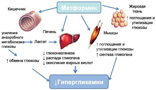 Редуксин Мет 10-15 мг. Отзывы худеющих, фото, как принимать