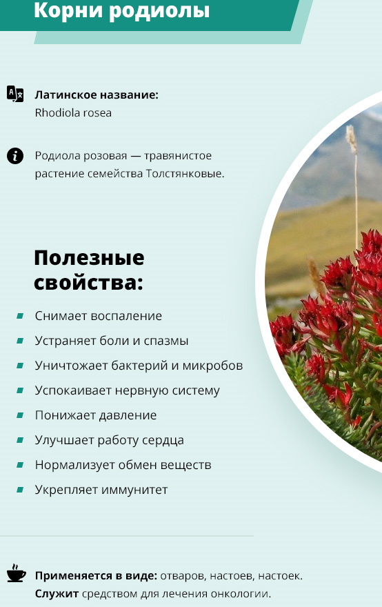 Настойка Родиолы розовой. Инструкция по применению мужчинам, отзывы