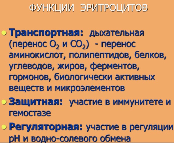 РОЭ норма в крови у женщин по возрасту. Таблица после 40 лет, оседание, что значит повышенное, причины и лечение