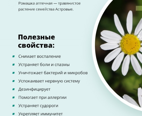 Розеола у детей. Симптомы, как выглядит начальная стадия, лечение. Клинические рекомендации