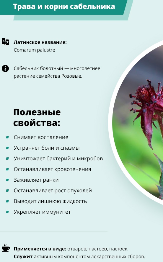 Сабельник мазь для суставов. Инструкция по применению, где купить, показания, цена