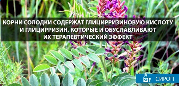 Сироп солодки. Инструкция по применению для детей, женщин при беременности. Показания, противопоказания, особенности приема и дозировка
