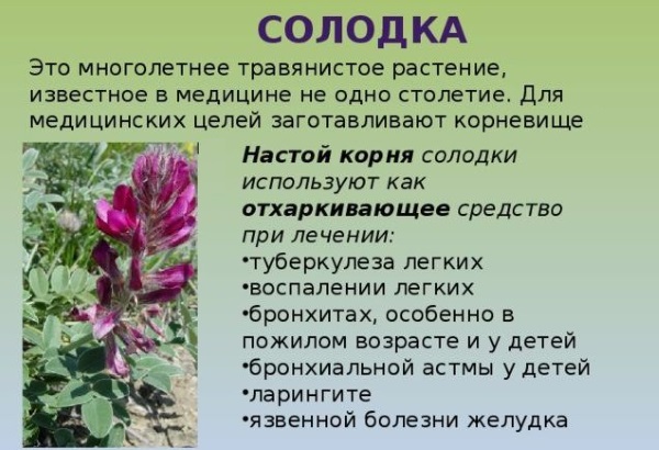 Сироп солодки. Инструкция по применению для детей, женщин при беременности. Показания, противопоказания, особенности приема и дозировка