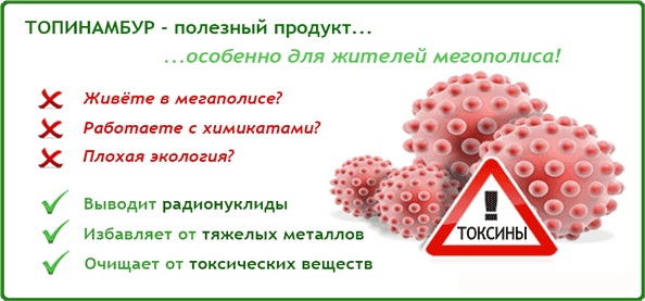 Сироп Топинамбура. Польза и вред, состав и пищевая ценность, гликемический индекс. Рецепт, как приготовить, принимать в домашних условиях