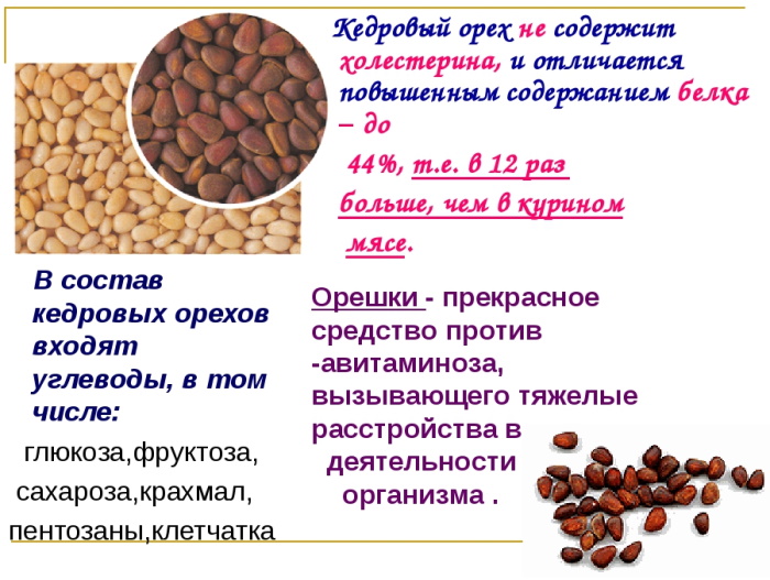 Скорлупа кедрового ореха. Лечебные свойства, применение