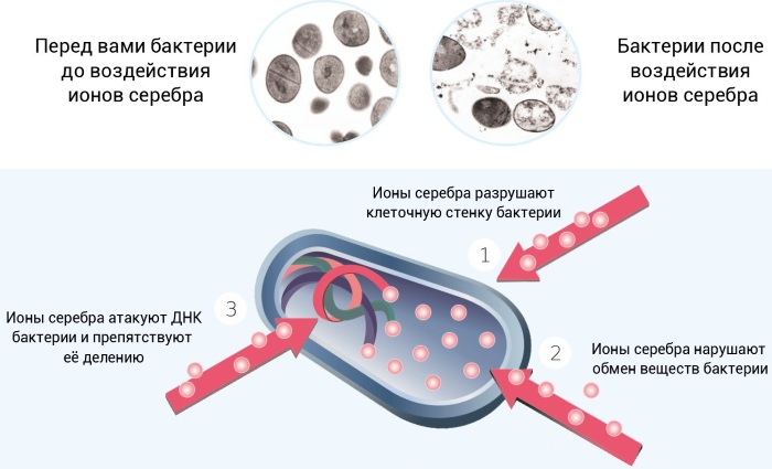 Соли тяжелых металлов. Что это такое, где содержатся, список, влияние, примеры