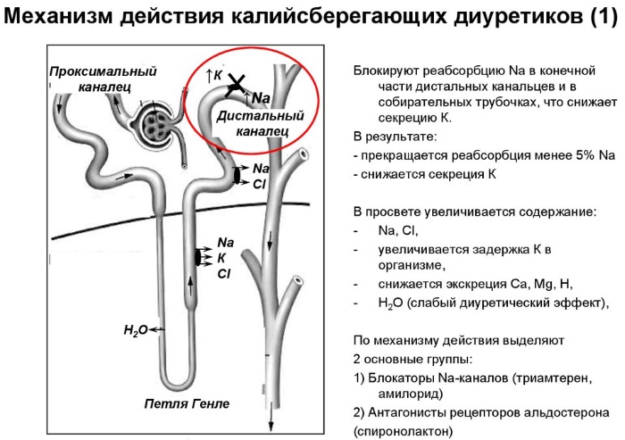 Спиронолактон (Spironolactone). Показания к применению, инструкция, аналоги, цена