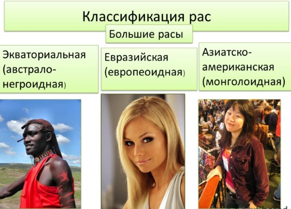 Средний рост мужчины в мире, России. Рост по расам, национальностям, народам. От чего зависит