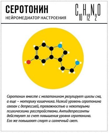 Средства для снижения аппетита и похудения в аптеке. Цены, отзывы