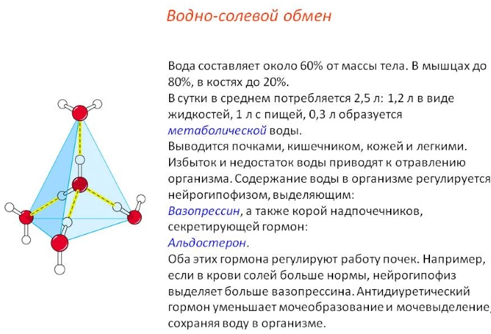 Светлая моча. Причины у женщин при частом мочеиспускании, беременности, лечение