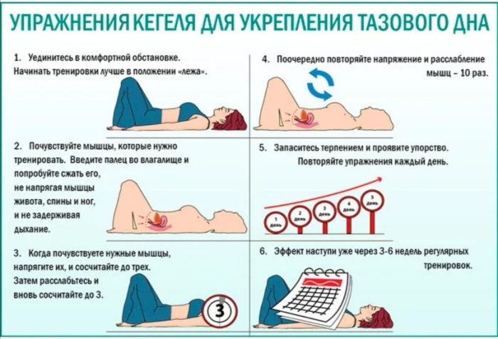Тренировка мышц тазового дна для женщин