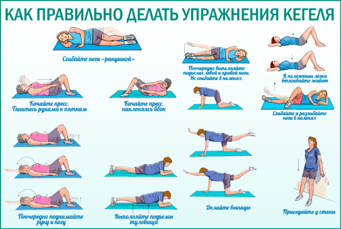 Тренировка мышц тазового дна для женщин