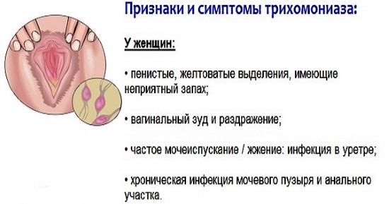 Облигатно анаэробные микроорганизмы у женщин в мазке. Что это такое