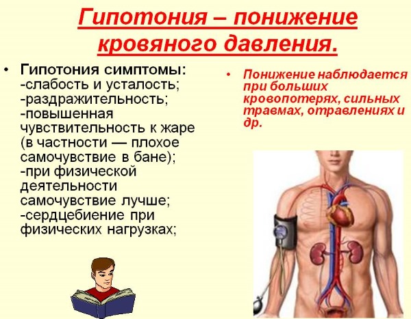 Цимицифуга для женщин. Инструкция, лечебные свойства растения, показания к гомеопатии, противопоказания. Препараты, цены