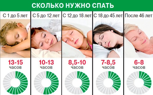 Циркадные ритмы у человека. Что это такое, схема по часам, примеры, регуляция