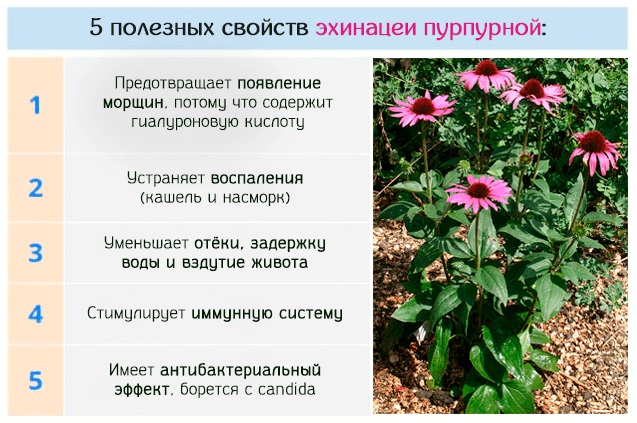 Как лечить горло ребенку 2 года при температуре и без