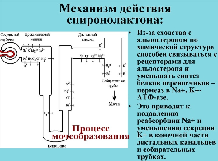 Верошпирон (Verospiron). Аналоги и заменители, инструкция по применению, цена