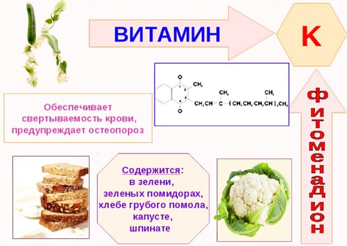Витамин К2. Где содержится, в каких продуктах, препараты, для чего нужен организму