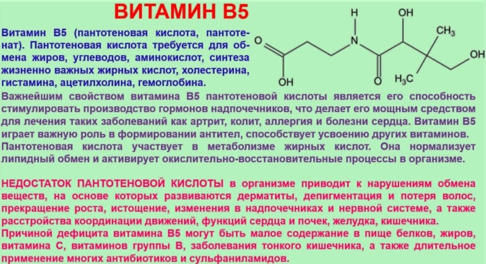 Витамин В5 в таблетках, ампулах. Инструкция по применению, для чего нужен организму, цена
