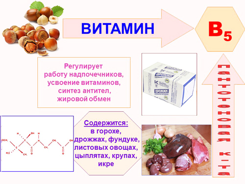 Витамин В5 в таблетках, ампулах. Инструкция по применению, для чего нужен организму, цена