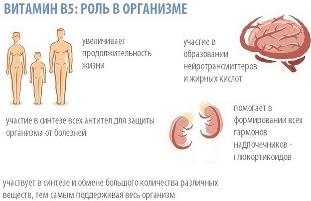 Витамин В5 в таблетках, ампулах. Инструкция по применению, для чего нужен организму, цена