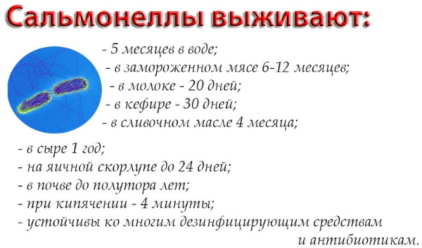 Зеленый кал у взрослого. Причины без поноса, боли в животе. Симптомы болезней, лечение