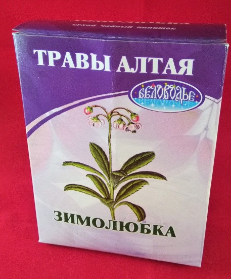 Зимолюбка. Лечебные свойства травы, рецепты применения, где купить, фото, цена, противопоказания