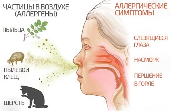 Зодак. Инструкция по применению капель для детей, сколько принимать от аллергии. Цена, отзывы, аналоги