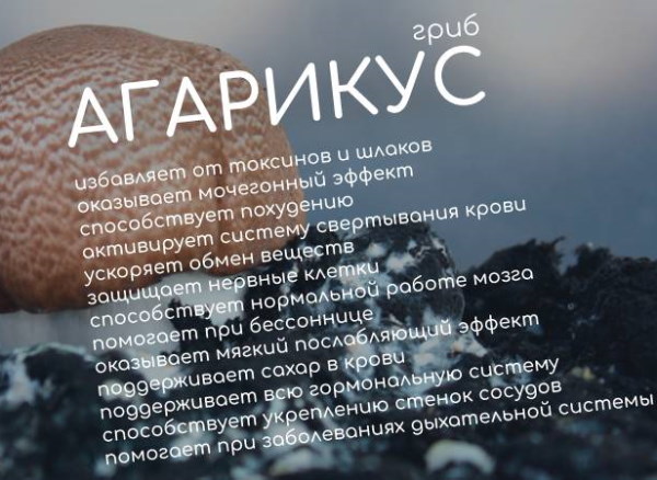 Агарикус гомеопатия. Показания к применению