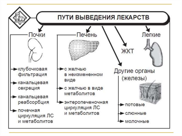 Манинил (Maninil) таблетки. Инструкция по применению