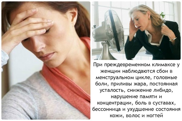 Антимюллеров гормон у женщин. Норма АМГ по возрасту, таблица. Уровень гормона при беременности, для ЭКО, как сдавать анализ, как повысить пониженный показатель