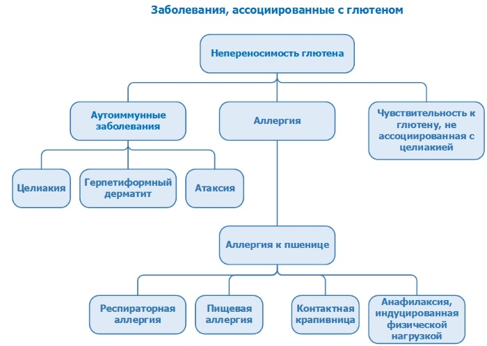 Анализ на глютеновую непереносимость. Как сдавать, как проводят, расшифровка