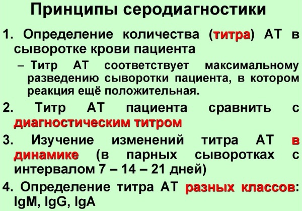 Анализ на глютеновую непереносимость. Как сдавать, как проводят, расшифровка